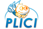 logo plici